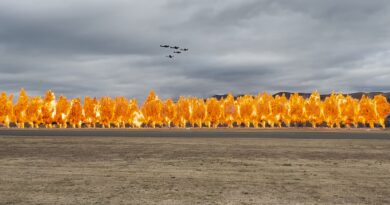 Warbirds Over Wanaka 2026 – In Review